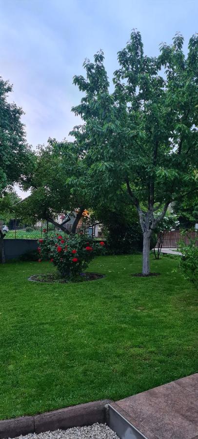 Appartamento Prenociste Dubravka Livno Esterno foto